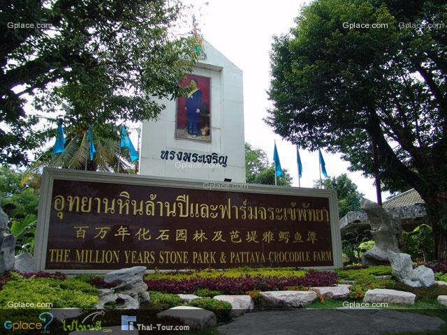 รีวิว อุทยานหินล้านปีและฟาร์มจระเข้พัทยา